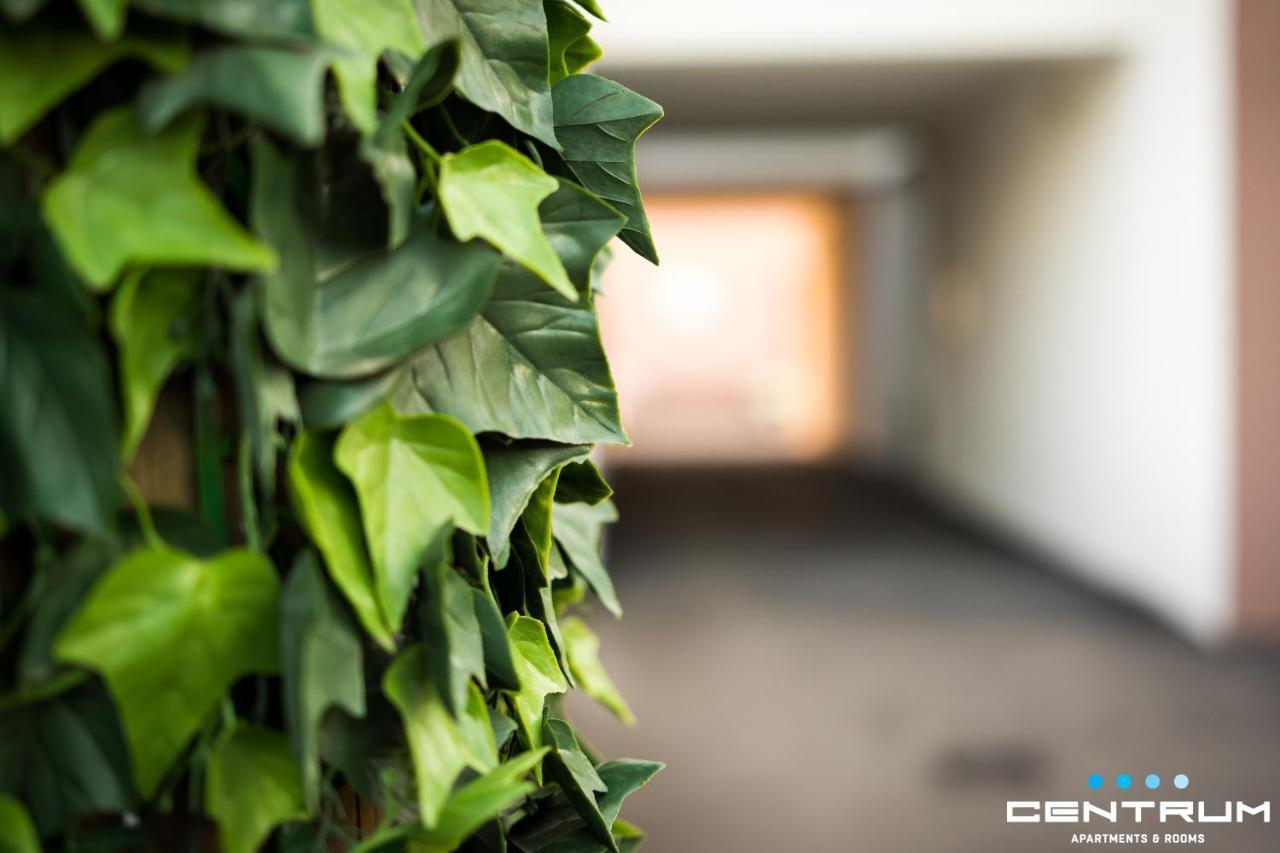 Centrum أوسييك المظهر الخارجي الصورة